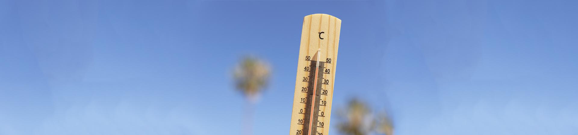 Inscriptions registre prévention canicule