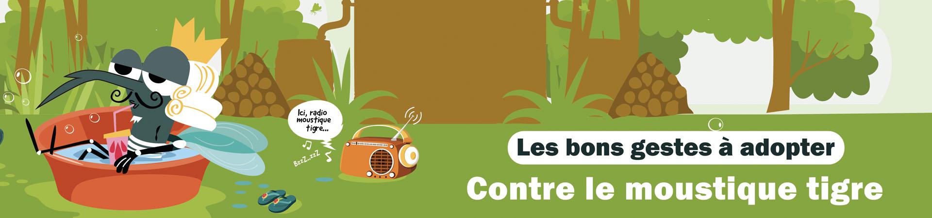 Moustique tigre : adoptez les bons réflexes