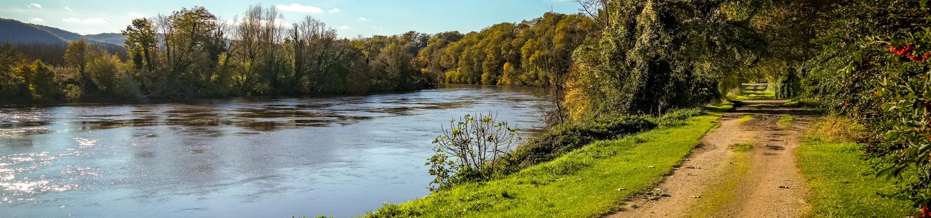 Découvrez la faune secrète des berges du Lot