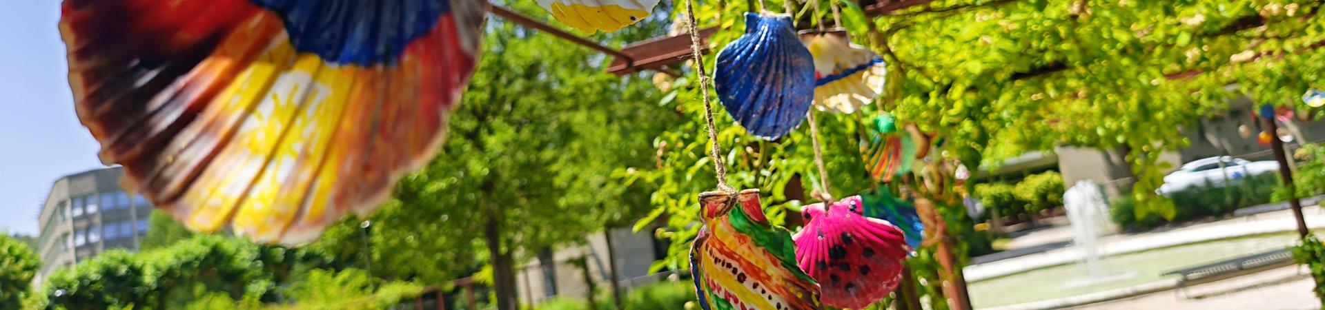 Des coquilles s'exposent au parc Philippe-Gaubert et à la cathédrale
