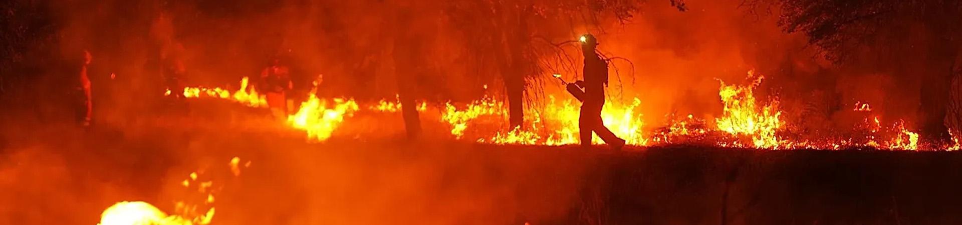 Soutien aux sinistrés des incendies d’Aquitaine