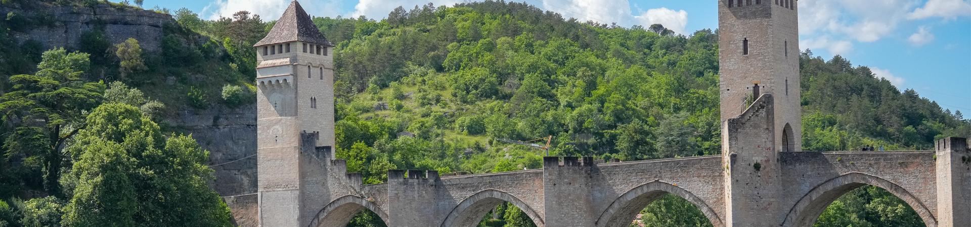 La biodiversité fait le pont