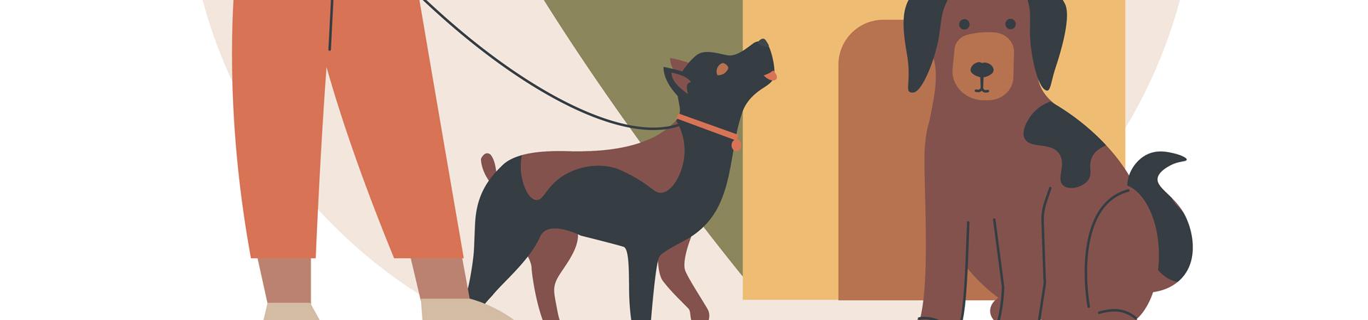 Une collection solidaire pour le Refuge Canin Lotois