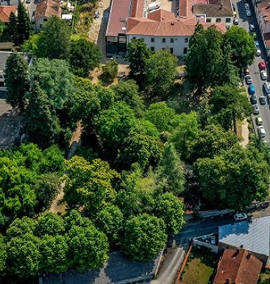  tassart