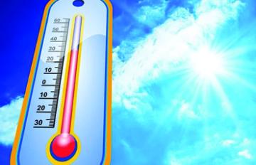 canicule 03