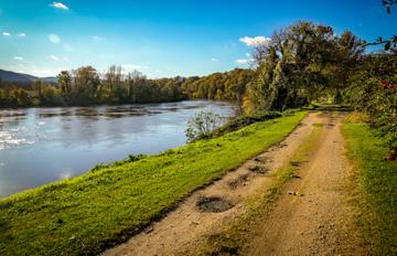 Découvrez la faune secrète des berges du Lot