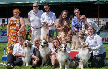 800 chiens attendus à Desprats pour l’Expo canine