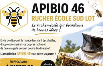 Apibio : une nouvelle association apicole 
