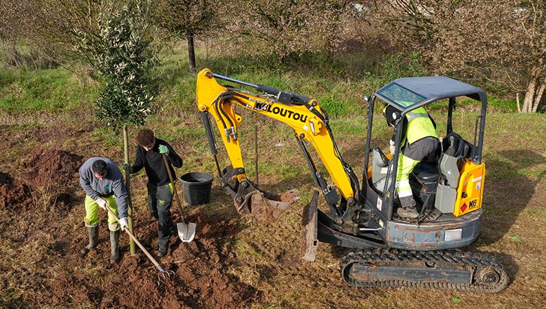 plantation_arbres_laiterie_02