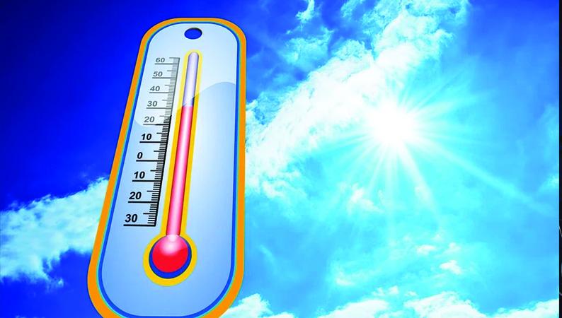 canicule 02