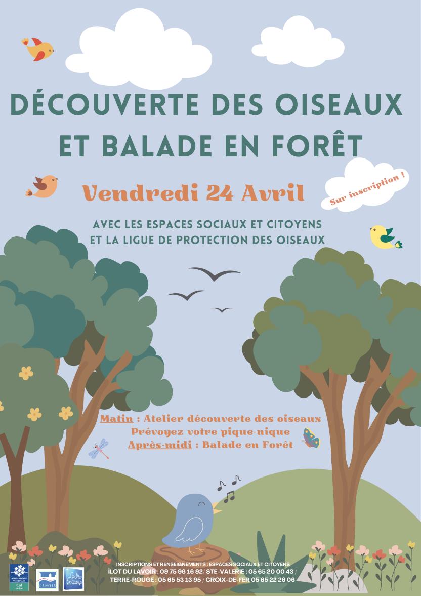 Découverte des oiseaux