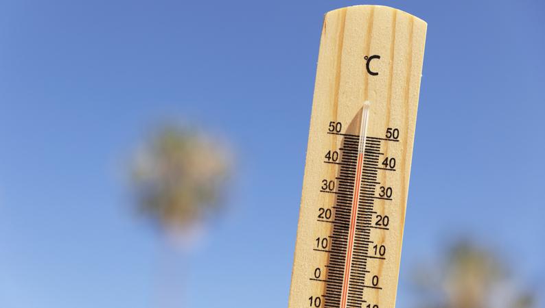 Prévention canicule