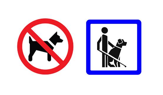 Chien interdit sauf chien d'assitance