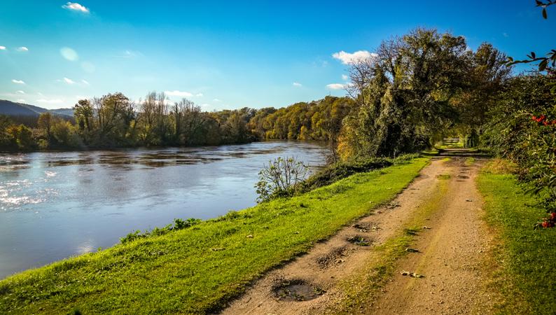 Découvrez la faune secrète des berges du Lot