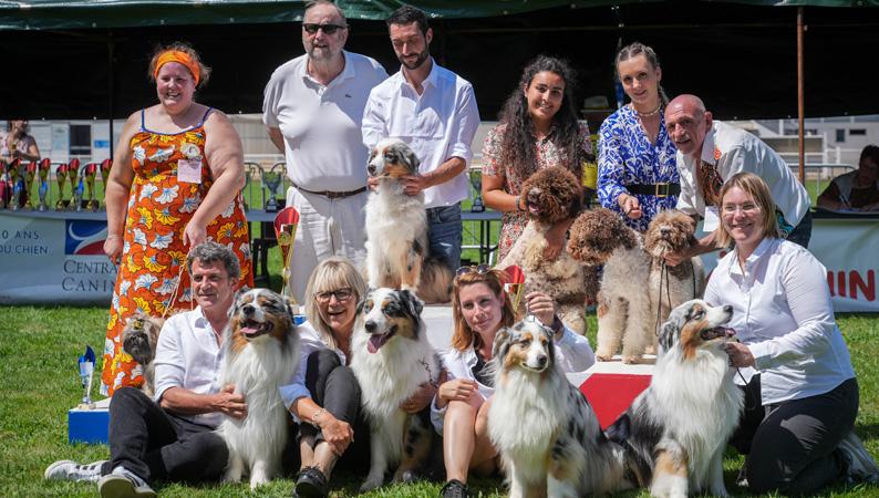 800 chiens attendus à Desprats pour l’Expo canine