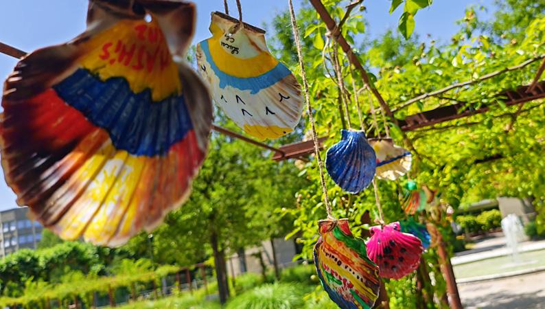 Des coquilles s'exposent au parc Philippe-Gaubert et à la cathédrale