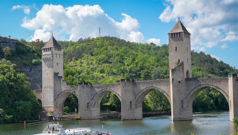 La biodiversité fait le pont