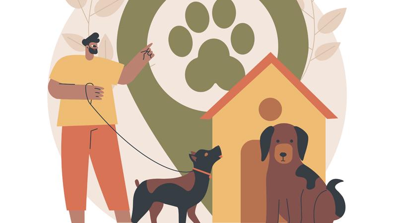 Une collection solidaire pour le Refuge Canin Lotois